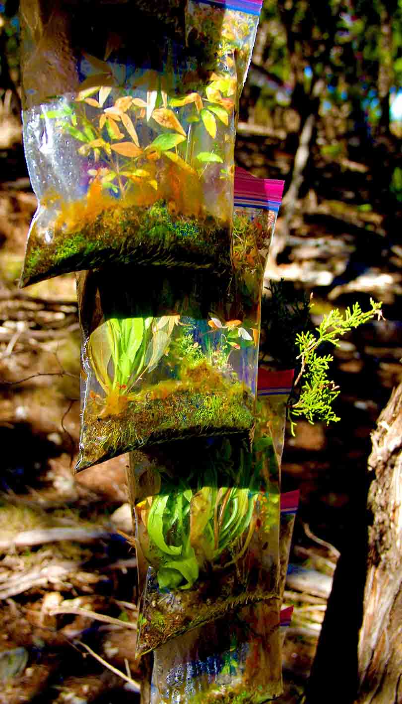 Austin Art Gallery