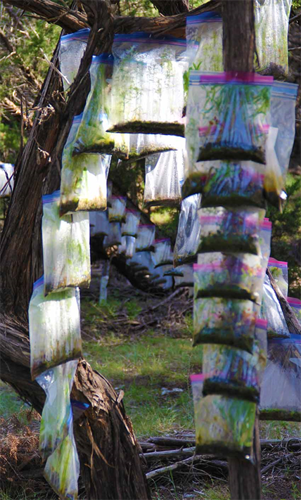 Austin is Weird Art